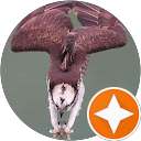 Marc Tripari profile picture